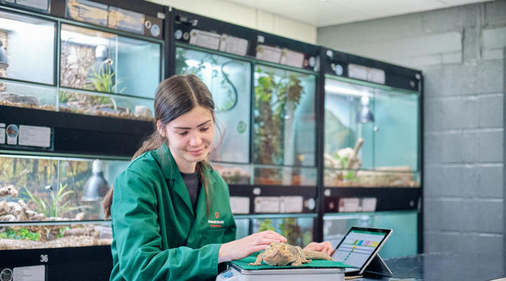 A closer look at Reptile Feeding Management Team Experience