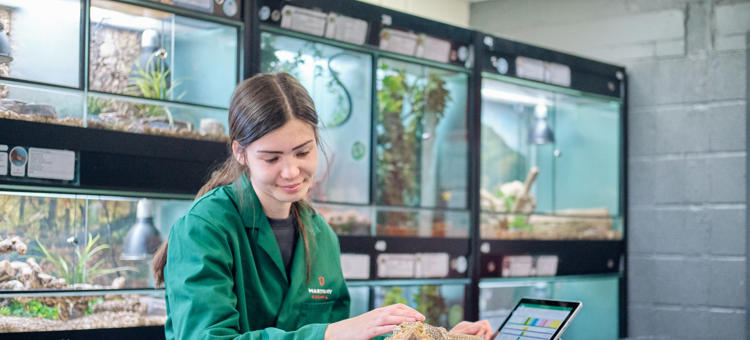 Courses Hartpury College courses-hartpury-college