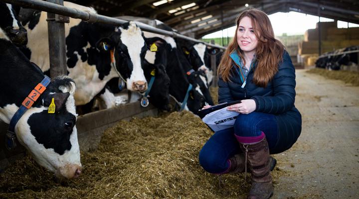 PG Agriculture Elle Vercoe Gibson Phd Student 1