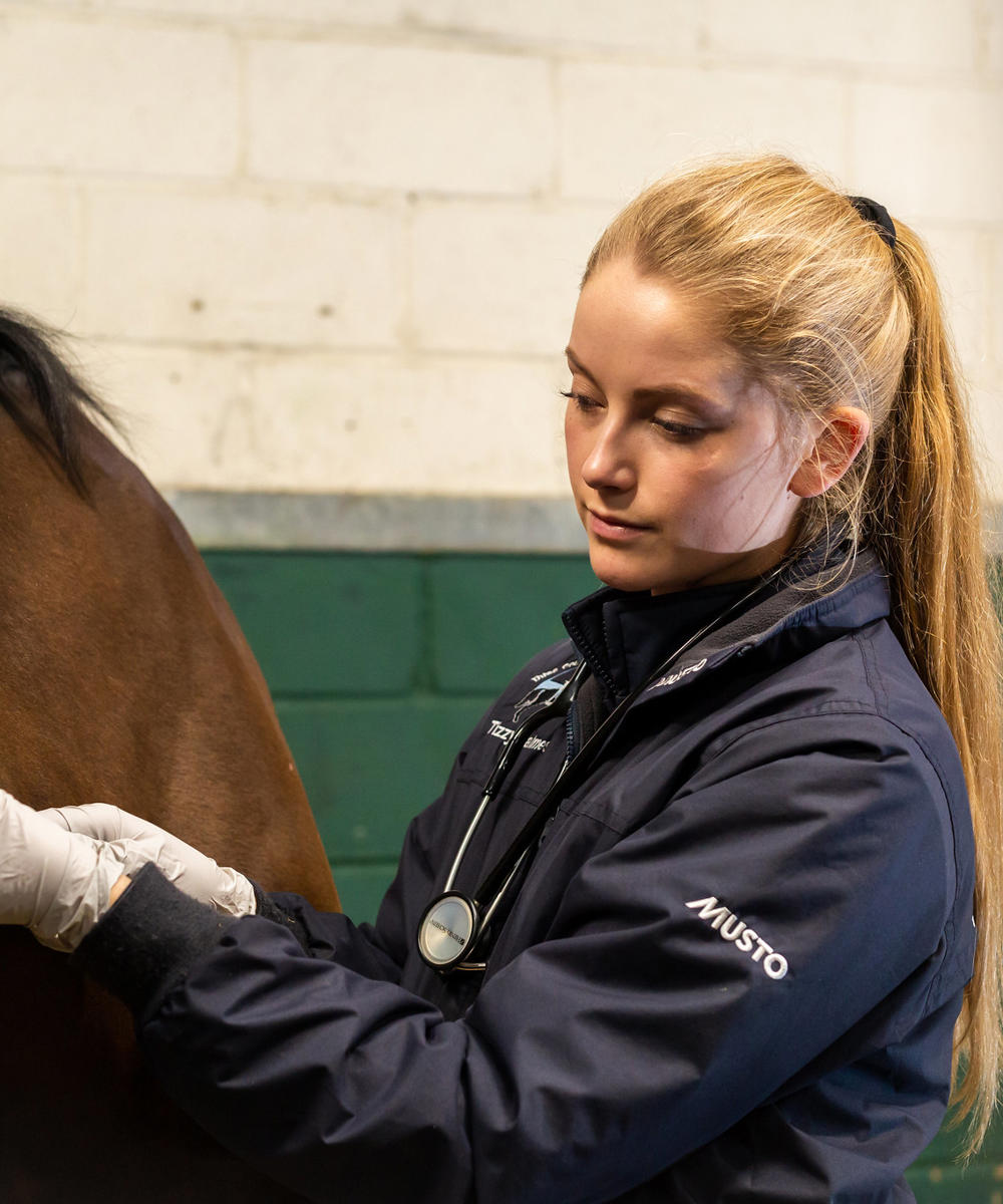 Advanced Equine Veterinary Nursing Critical Care