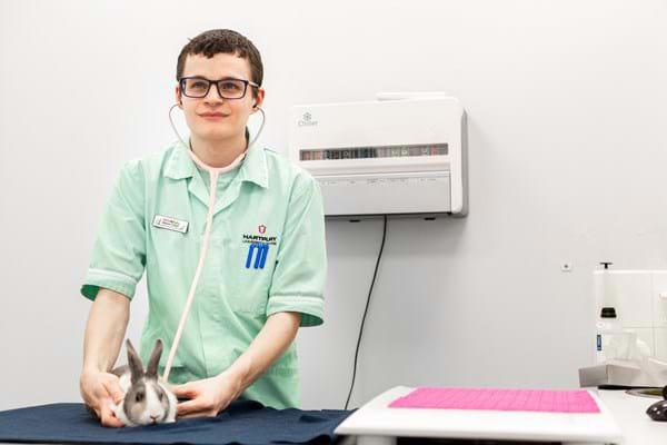 Rabbit-Research