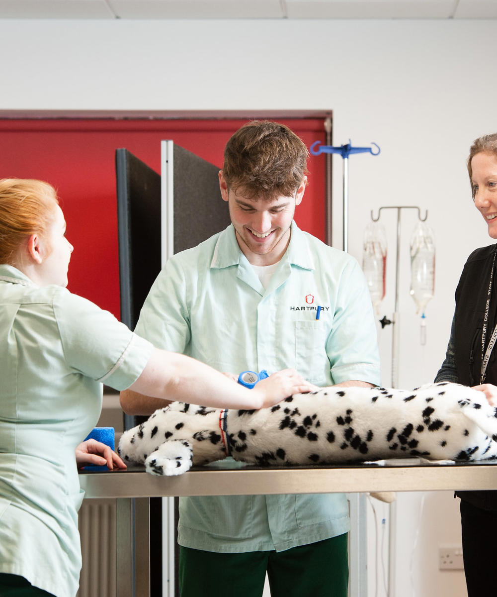 Veterinary Students Learning In Veterinary Nurse Centre