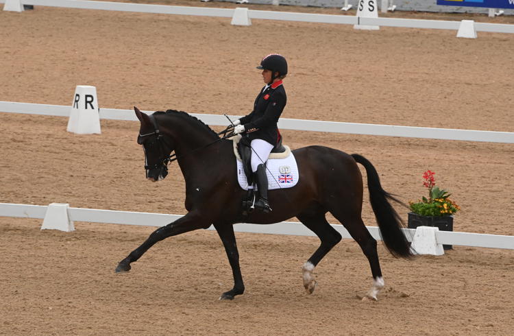 British Dressage Equissage Para Dressage Championships
