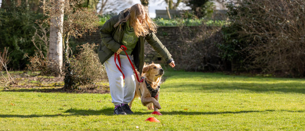 Canine Training Session2 29 (1) (1)