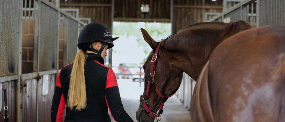 Equine Therapy