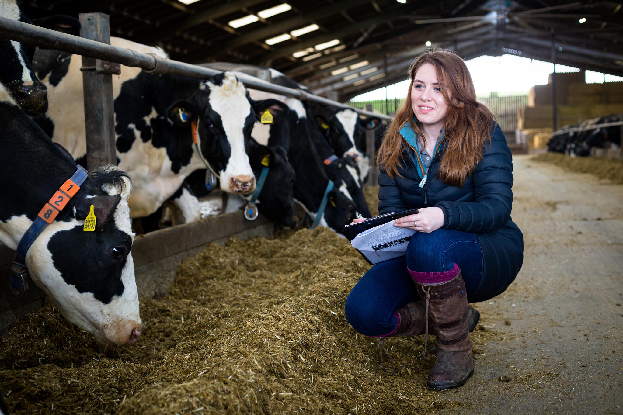 T Level in Livestock Production